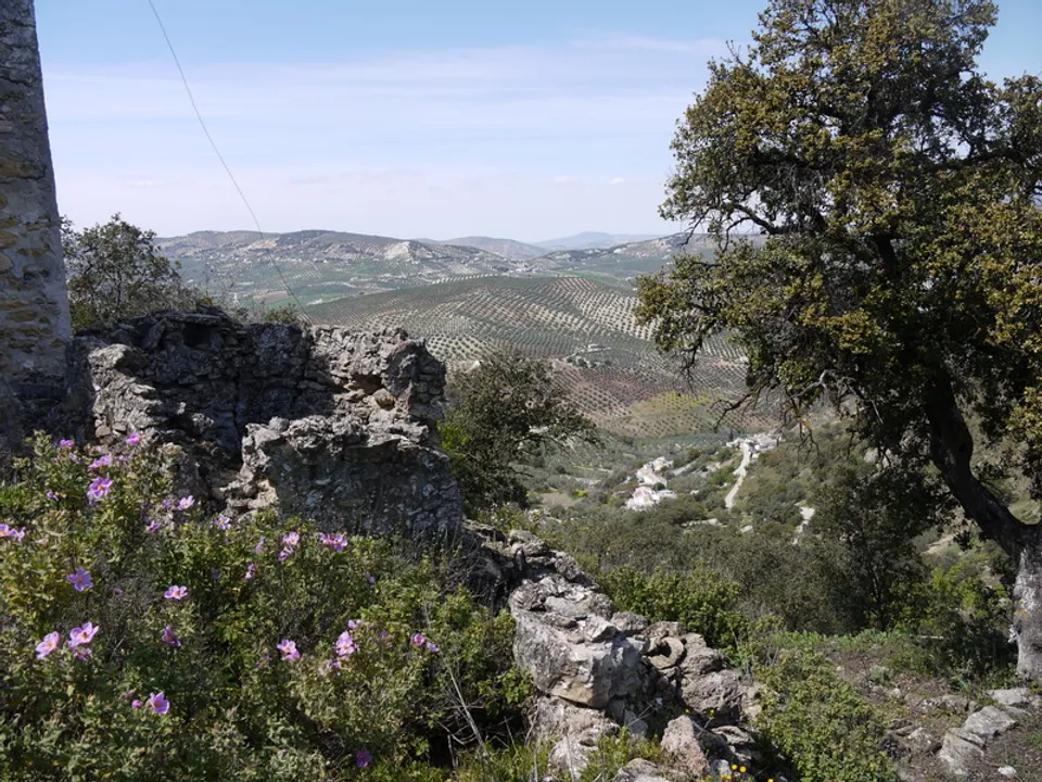Helårsgrund i Fuente Del Conde, Cordoba - foto 2