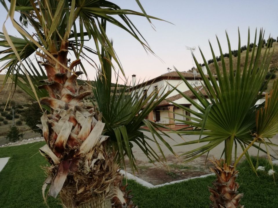 Finca i Setenil De Las Bodegas, Cadiz - bilde 4