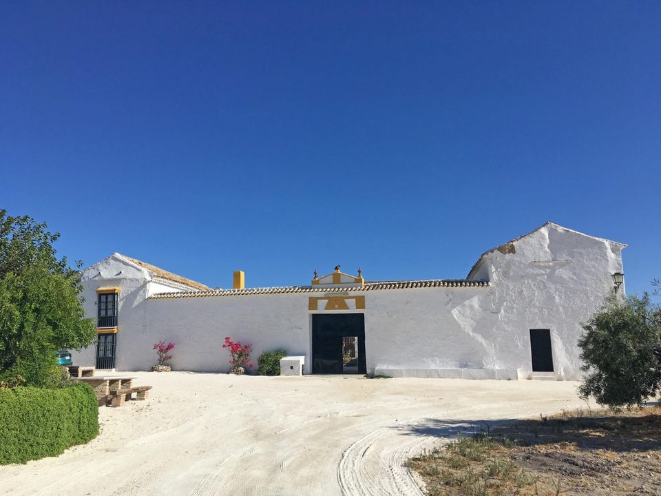 Landhaus in Moron De La Frontera, Sevilla - Foto 1
