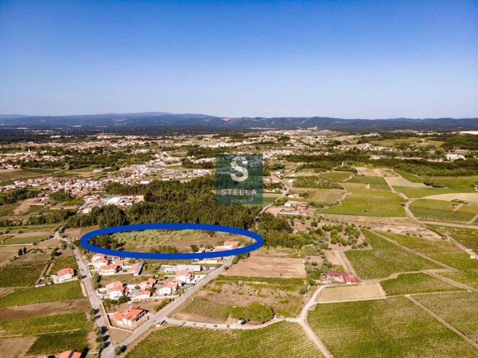 Helårsgrund i Anadia, Aveiro - foto 3
