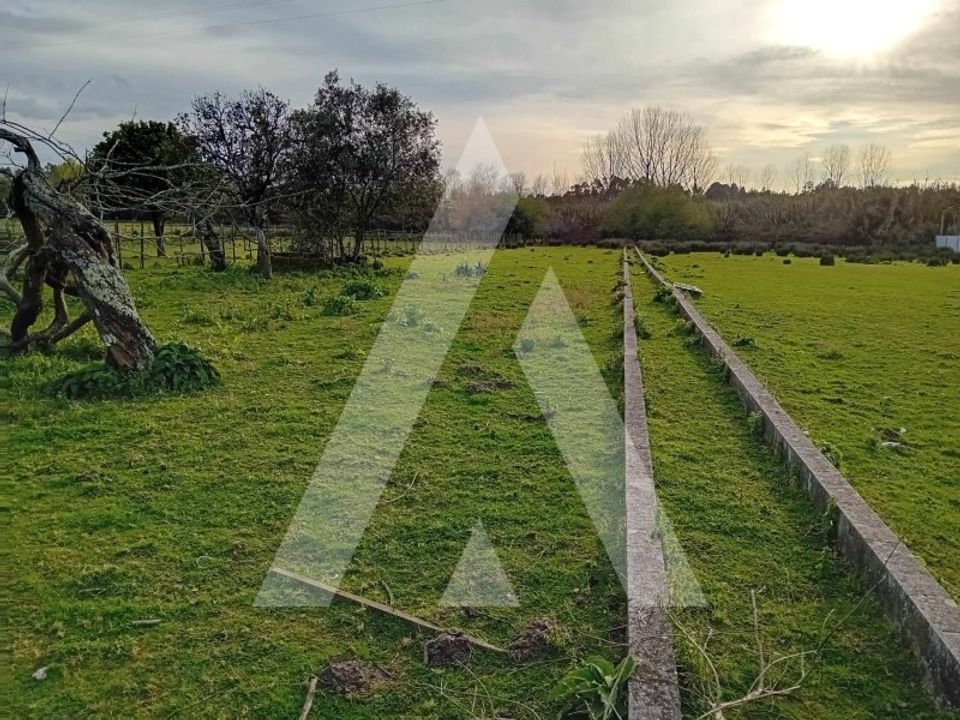 Grond in Anadia, Aveiro - foto 1