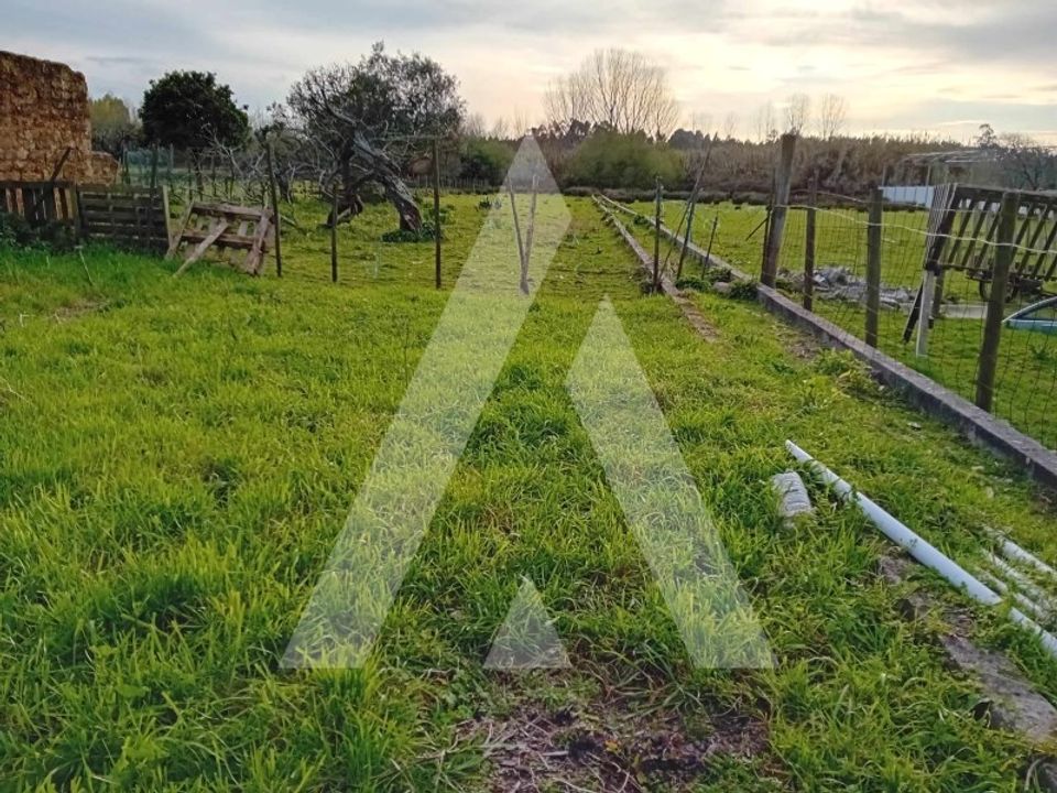Grond in Anadia, Aveiro - foto 2