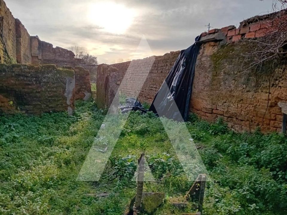 Grond in Anadia, Aveiro - foto 5