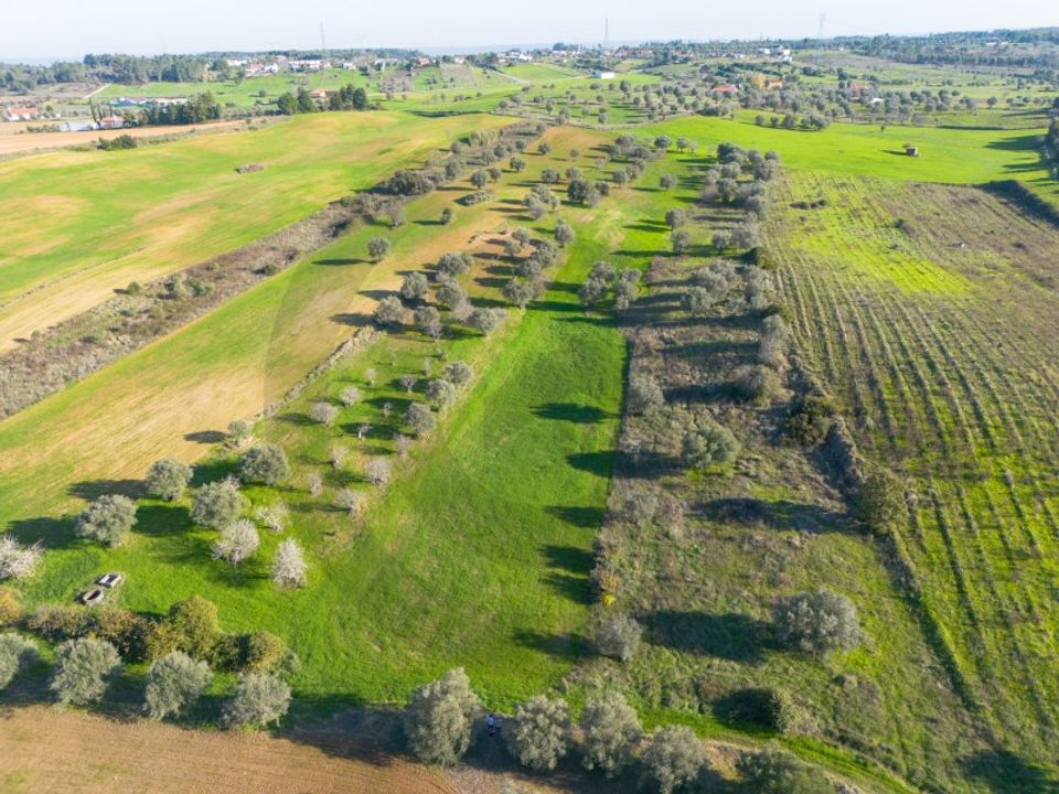 Helårsgrund i Torres Novas, Santarem - foto 1