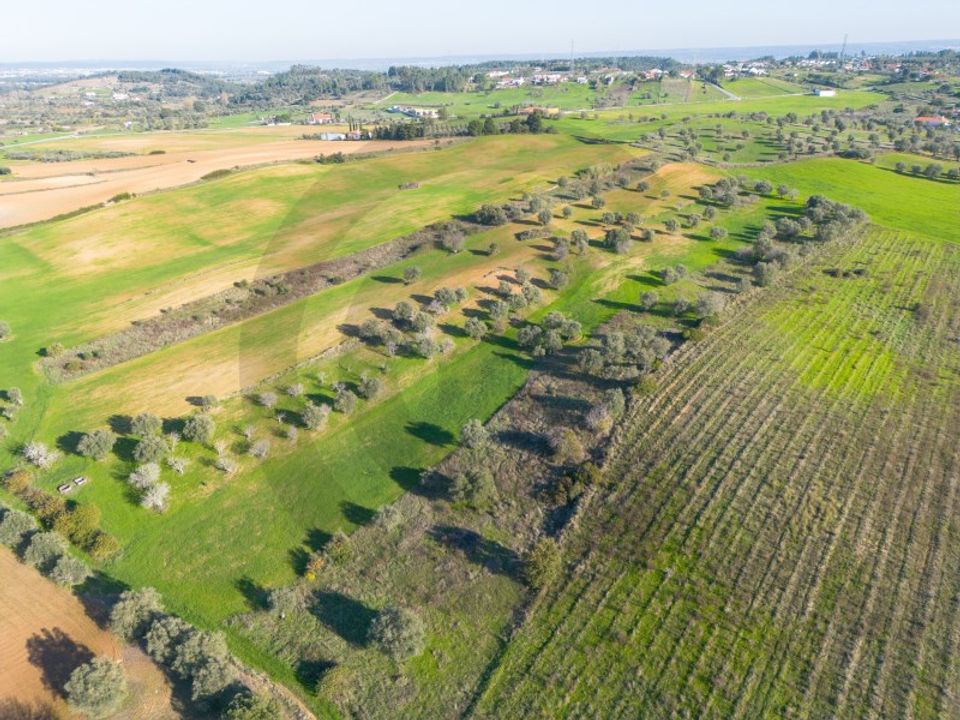 Helårsgrund i Torres Novas, Santarem - foto 2