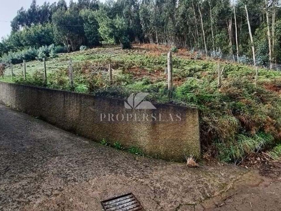 Helårsgrund i Camacha, Madeira - foto 2