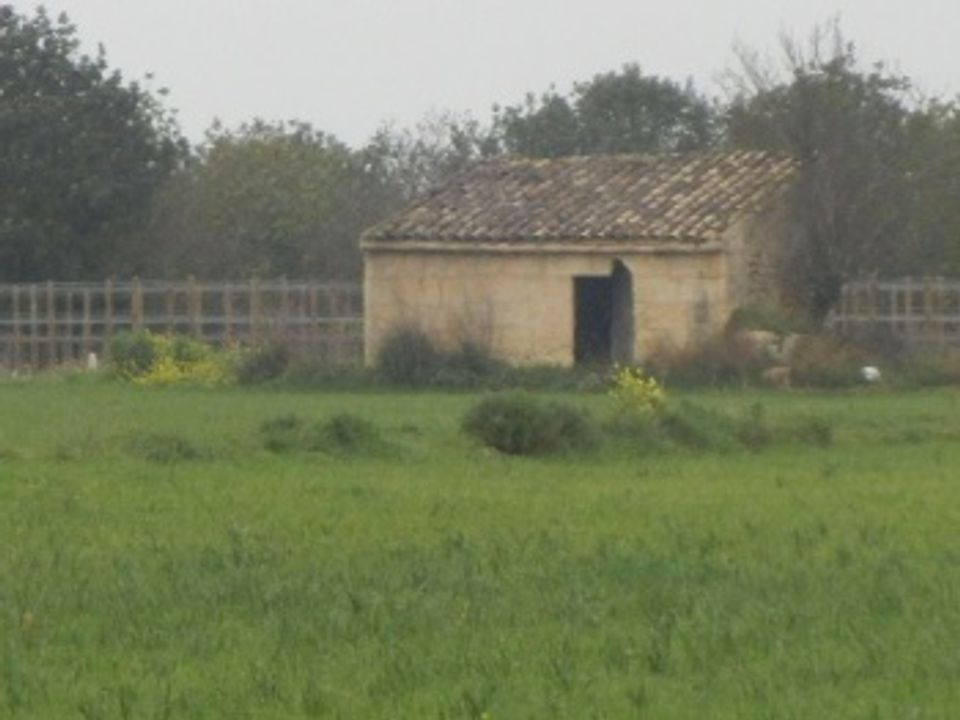 Helårsgrund i Sencelles, Mallorca - foto 1