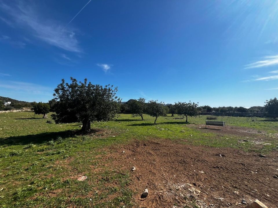 Cortijo en Son Servera, Mallorca - foto 2
