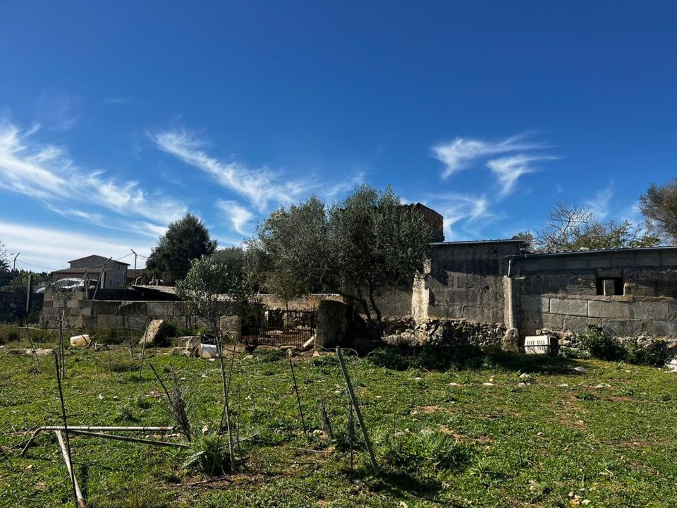 Cortijo en Son Servera, Mallorca - foto 4