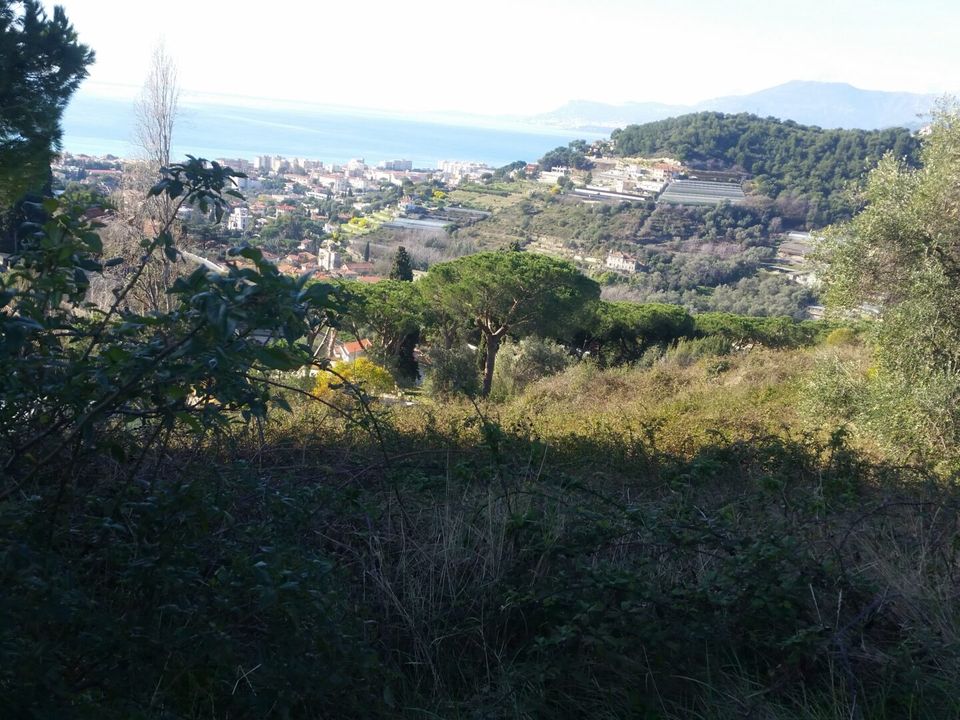 Helårsgrund i Bordighera, Imperia - foto 1