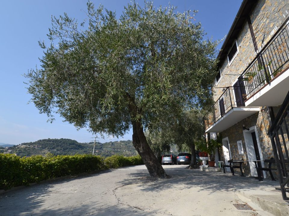 Villa i Sasso di Bordighera, Imperia - foto 3