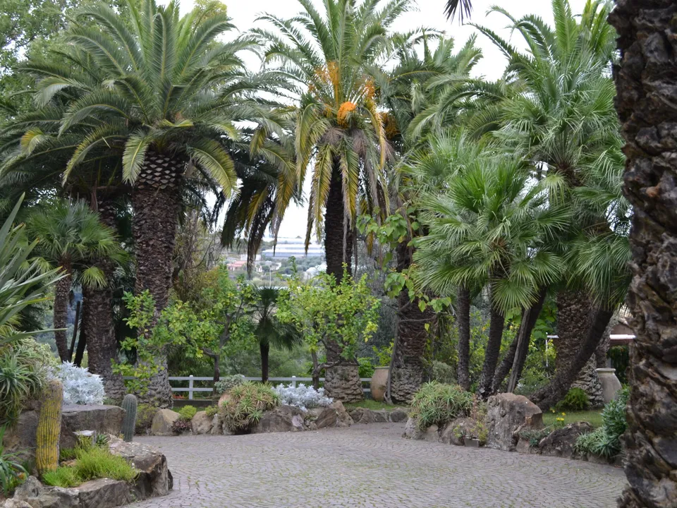 Villa i Sanremo, Imperia - foto 3