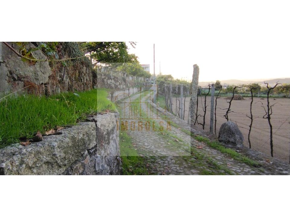 Farm i Lousa, Coimbra - foto 5