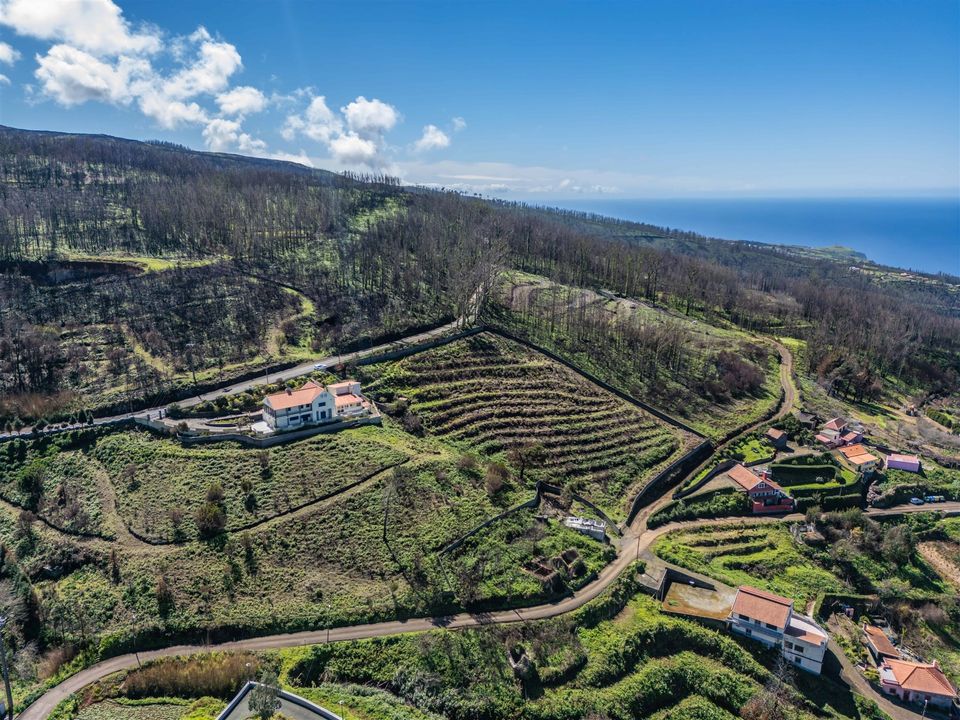 Helårsgrund i Porto Moniz, Madeira - foto 3