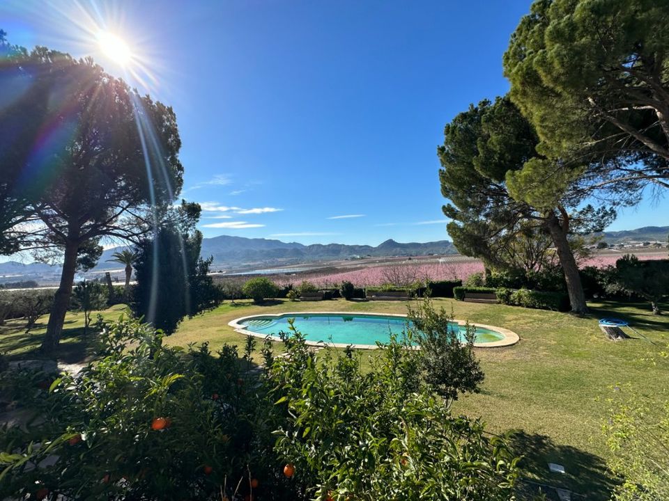 Landejendom i Cieza, Murcia - foto 5
