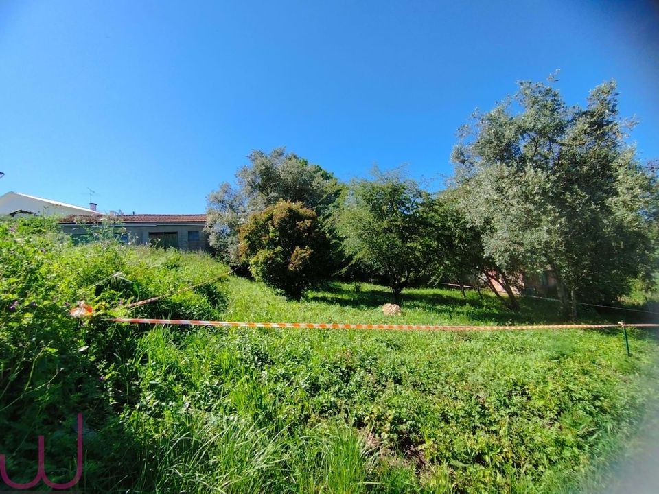 Helårsgrund i Coimbra, Coimbra - foto 2