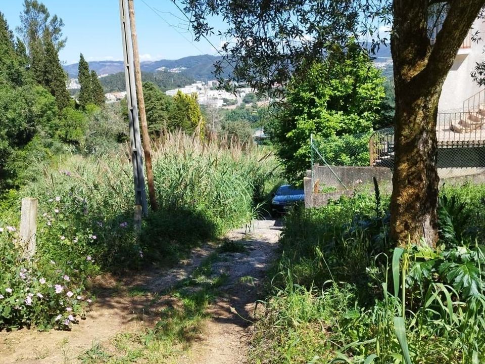 Helårsgrund i Coimbra, Coimbra - foto 5