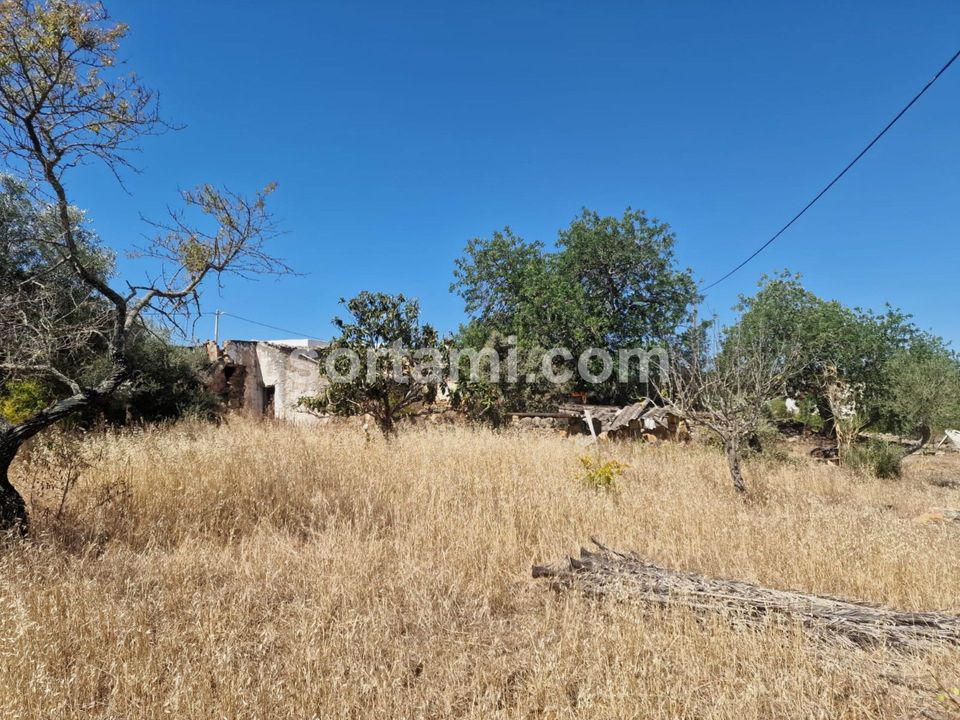 Helårsgrund i Faro, Faro - foto 2