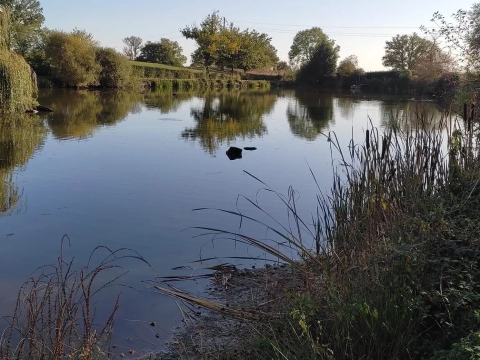 Helårsgrund i Toulon-sur-Arroux, Saone-et-Loire - foto 2