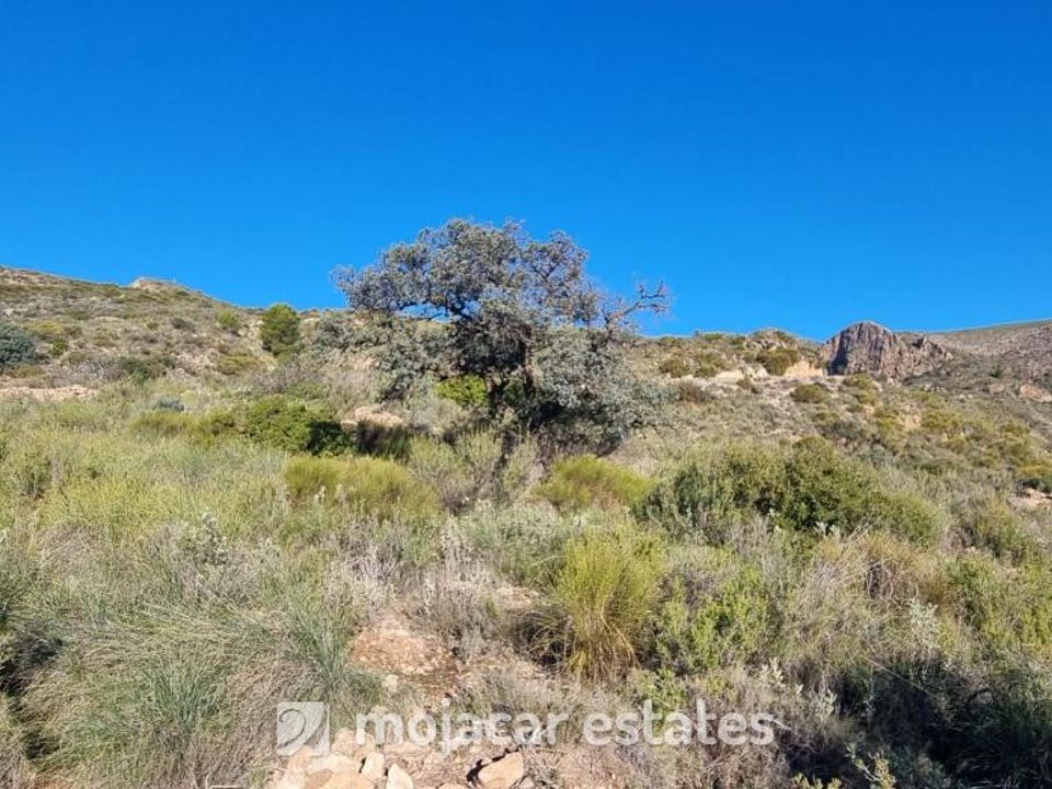 Tomt i Bedar, Almeria - bilde 2