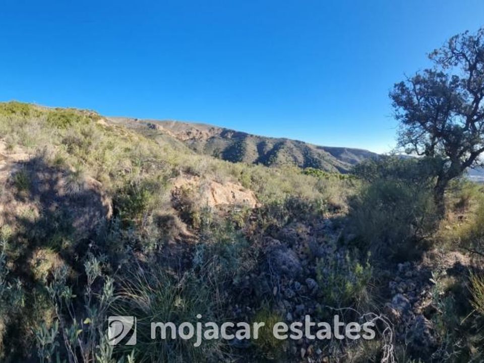 Tomt i Bedar, Almeria - bilde 3