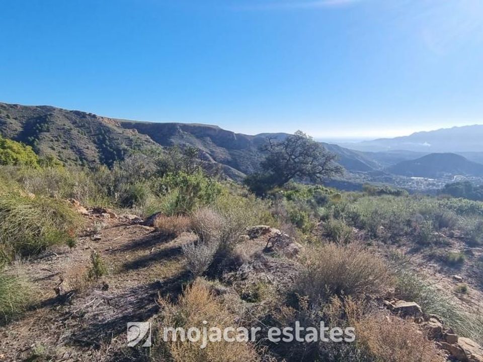 Tomt i Bedar, Almeria - bilde 4