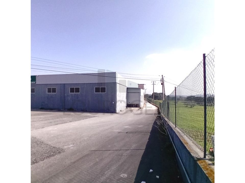 Commercial property in Pernes, Santarem - photo 2