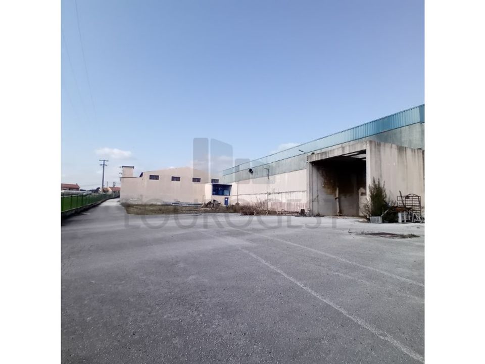Commercial property in Pernes, Santarem - photo 3