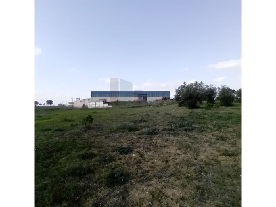 Commercial property in Pernes, Santarem - photo 4