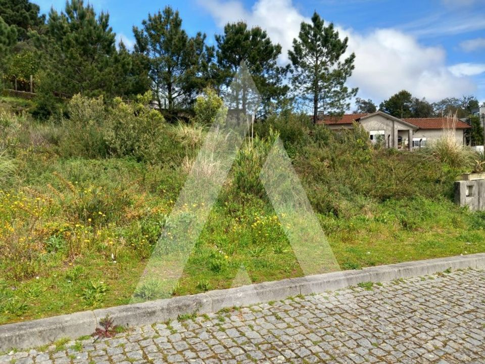 Tomt i Mozelos, Aveiro - bilde 3