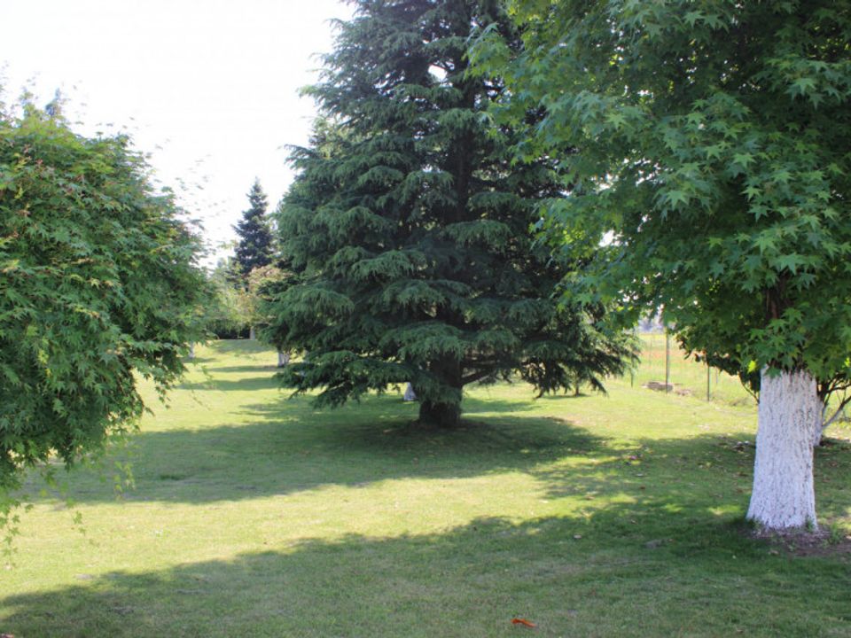 Helårsgrund i Battuda, Pavia - foto 3