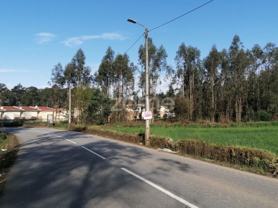 Helårsgrund i Braga, Braga - foto 1