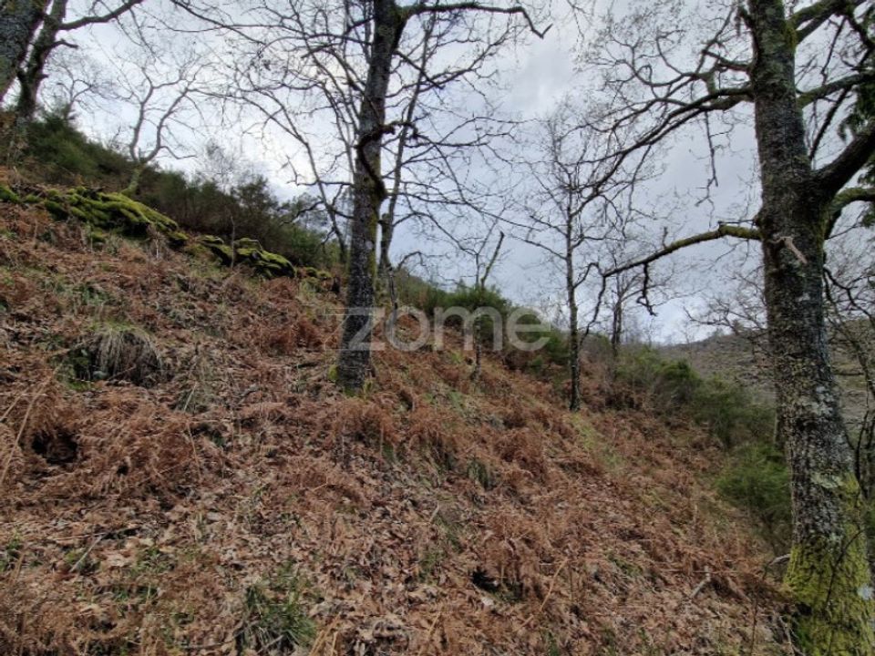 Grond in Montalegre, Vila Real - foto 2