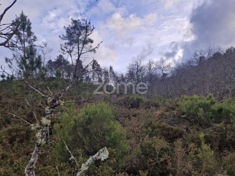 Grond in Montalegre, Vila Real - foto 4