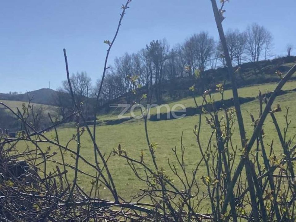 Tomt i Montalegre, Vila Real - bilde 4
