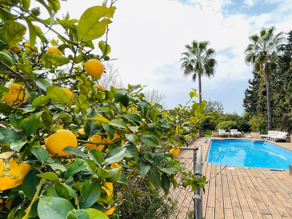 Landejendom i Algaida, Mallorca - foto 2