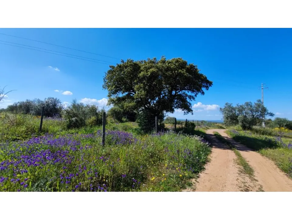 Helårsgrund i Moura, Beja - foto 2