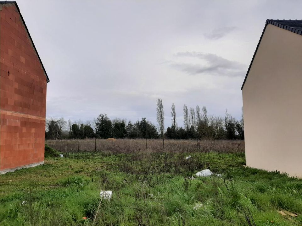 Terra a Vert-le-Grand, Essonne - foto 1