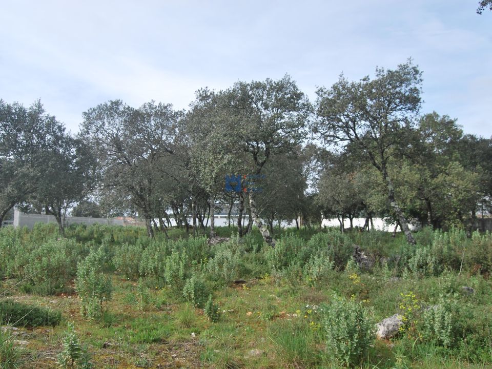 Helårsgrund i Fatima, Santarem - foto 3