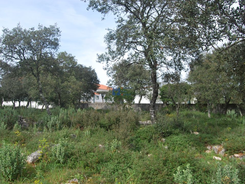 Helårsgrund i Fatima, Santarem - foto 4