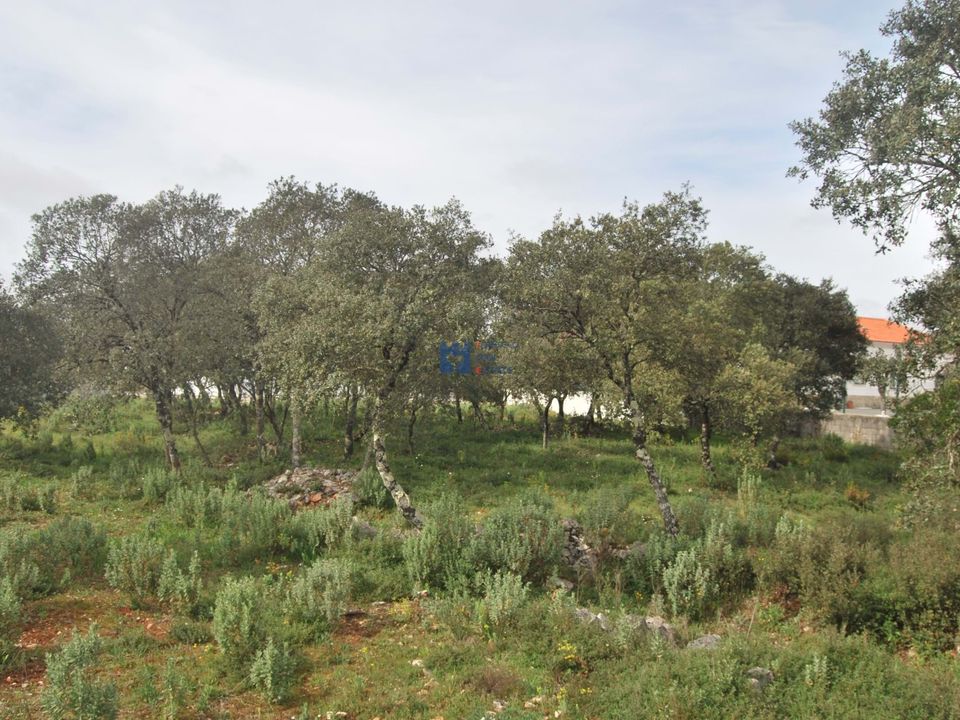 Helårsgrund i Fatima, Santarem - foto 5