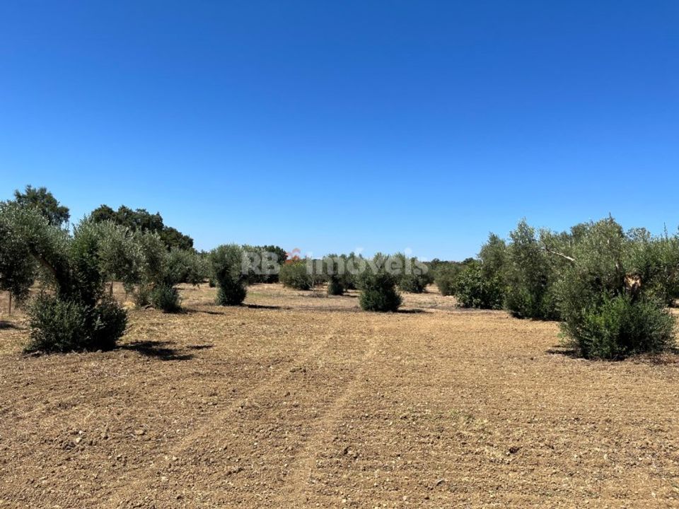 Helårsgrund i Tomar, Santarem - foto 1