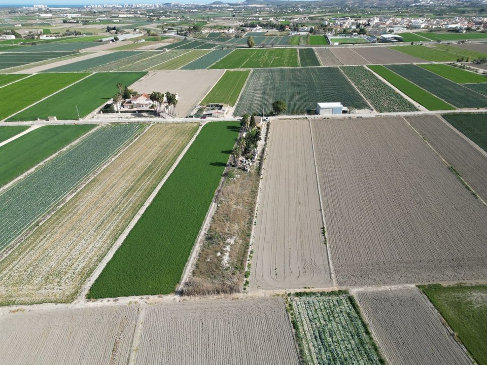 Helårsgrund i San Fulgencio, Alicante - foto 3