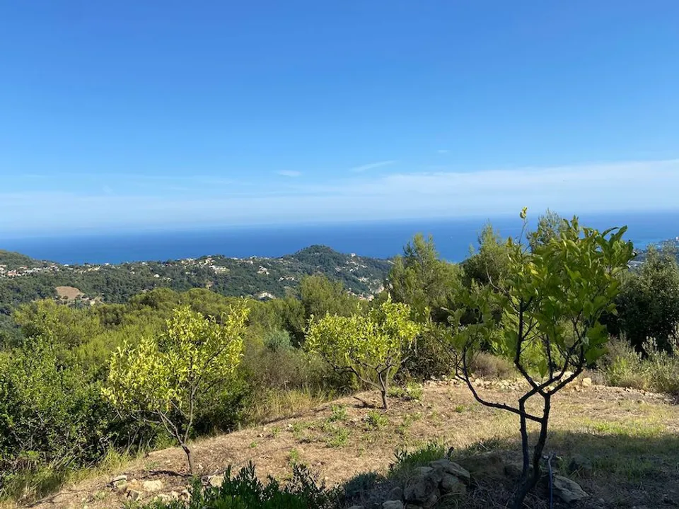 Villa i Menton, Alpes-Maritimes - foto 1