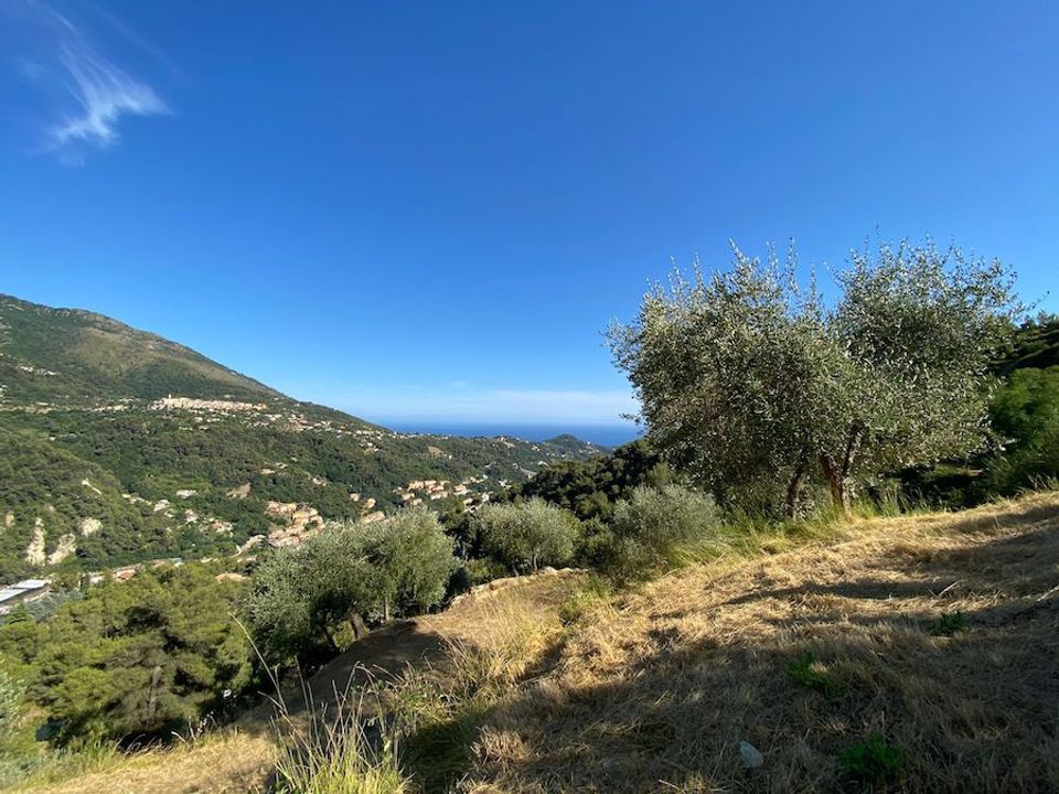 Villa i Menton, Alpes-Maritimes - foto 2