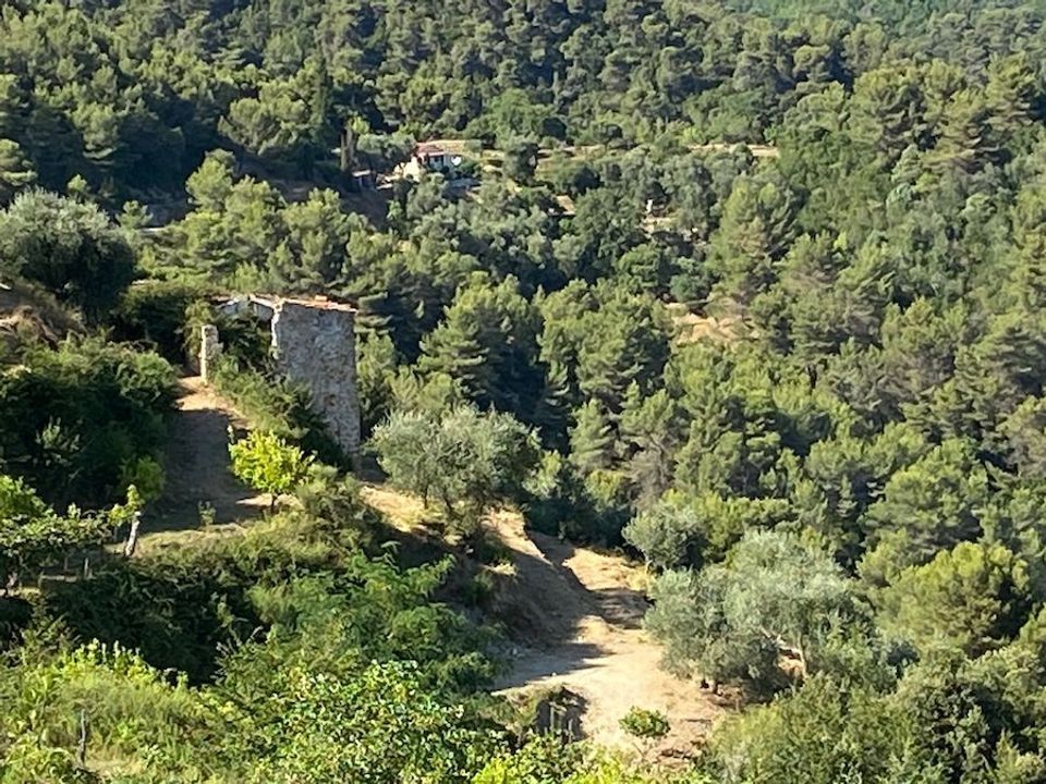 Villa i Menton, Alpes-Maritimes - foto 4