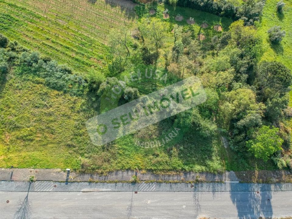 Helårsgrund i Coimbra, Coimbra - foto 4
