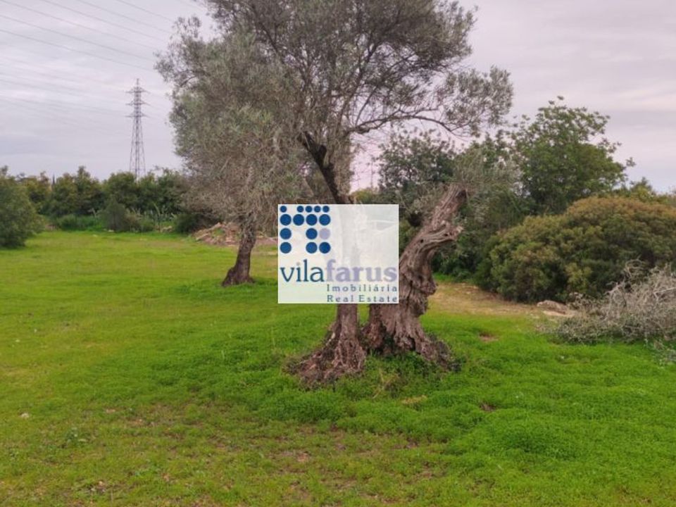 Helårsgrund i Faro, Faro - foto 4