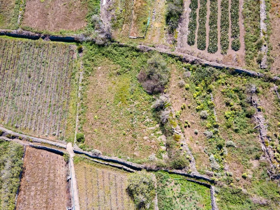 Helårsgrund i Buenavista Del Norte, Tenerife - foto 2