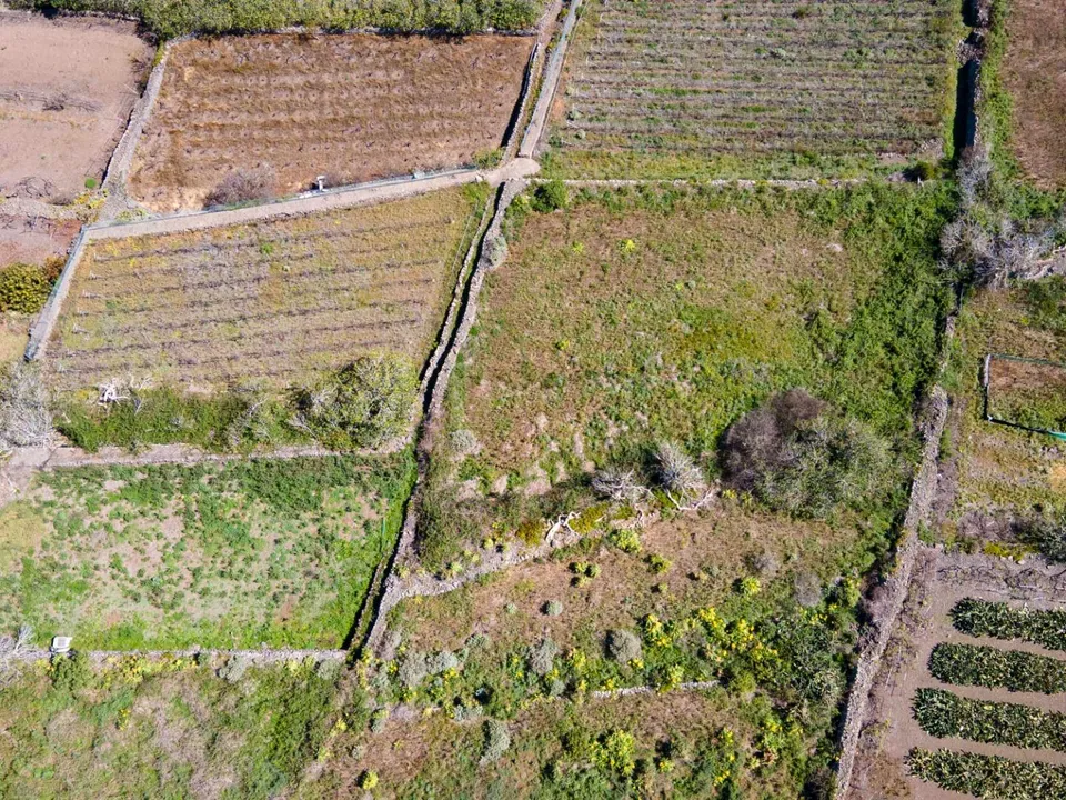 Helårsgrund i Buenavista Del Norte, Tenerife - foto 3